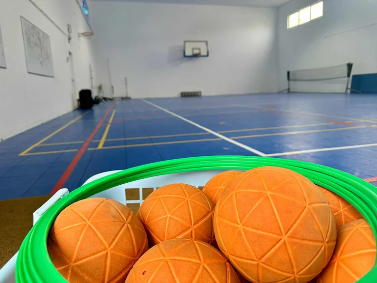 Multi-use gymnasiums