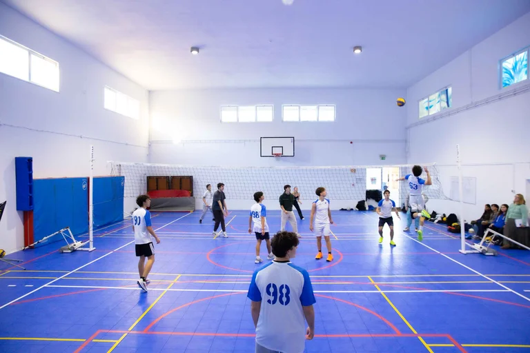 Volleyball court