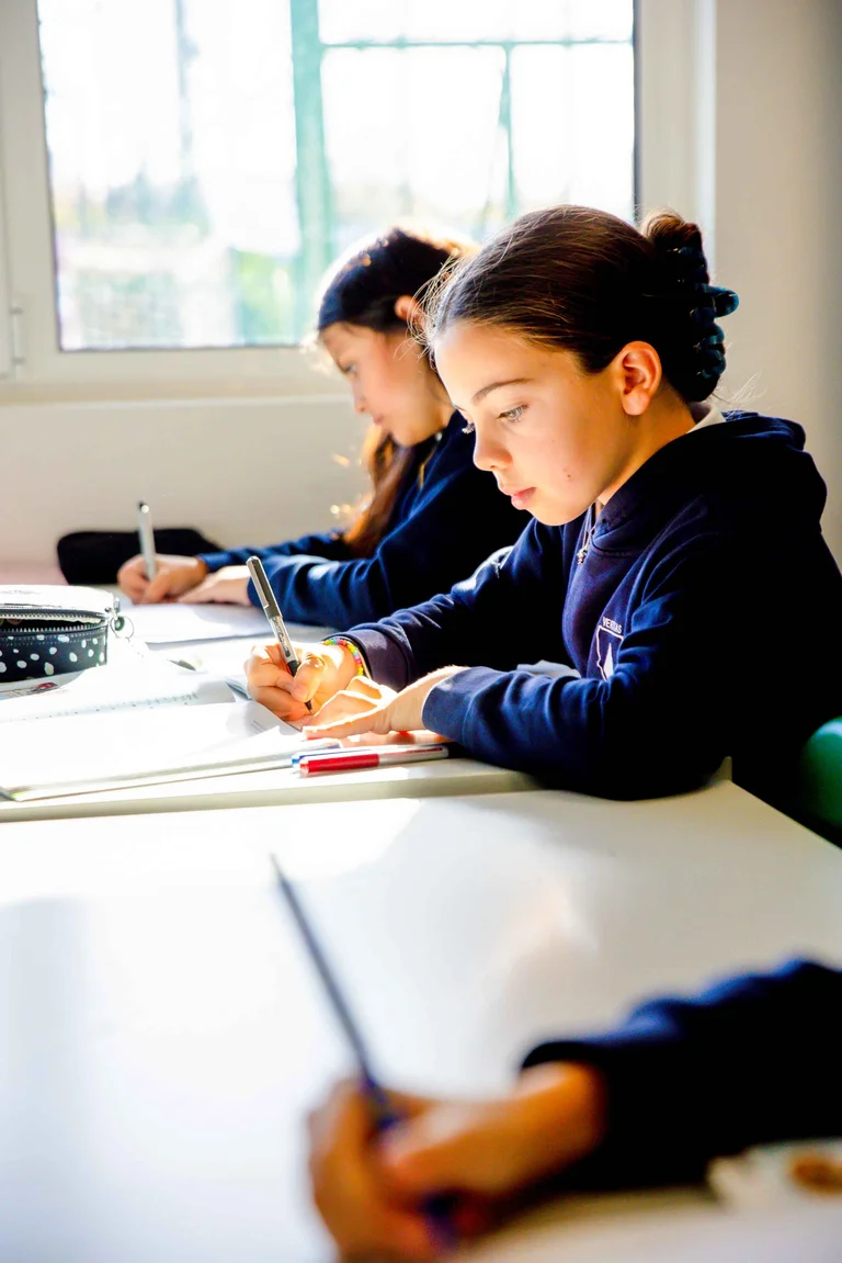 Resultados escolares