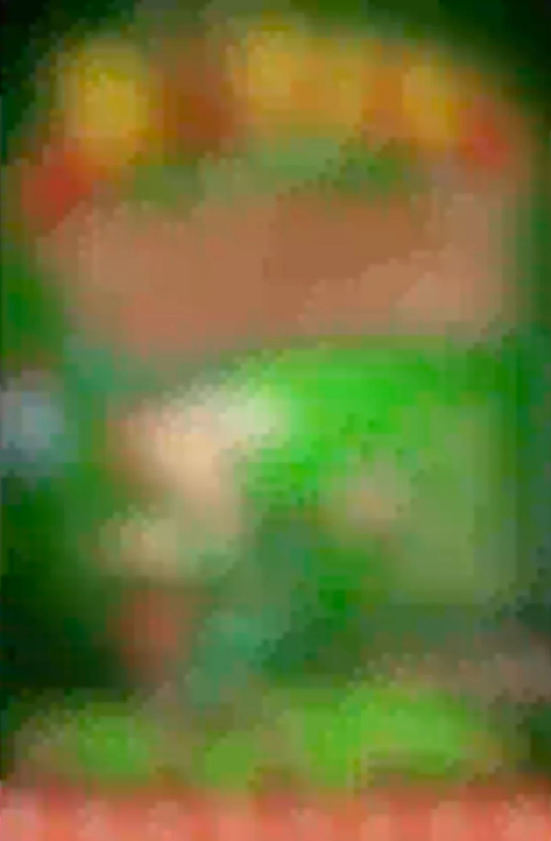 O Musical da Primária