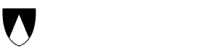 Saint Dominic's International School logo